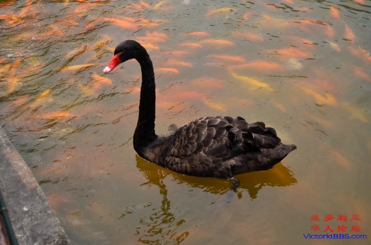 DSC_2923.jpg