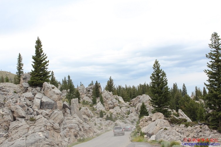 yellowstone 279.JPG