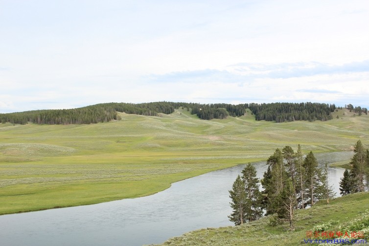yellowstone 862.JPG