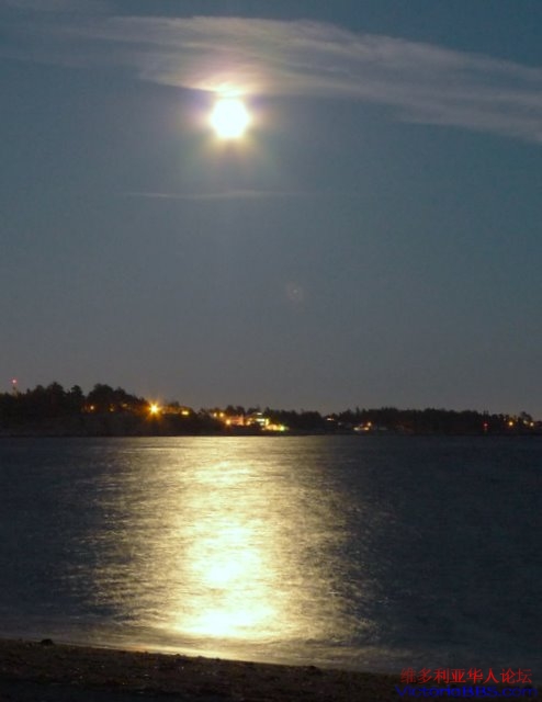 P1000131.JPG