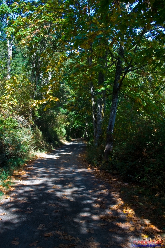 lockside_trail_20110918_1.jpg