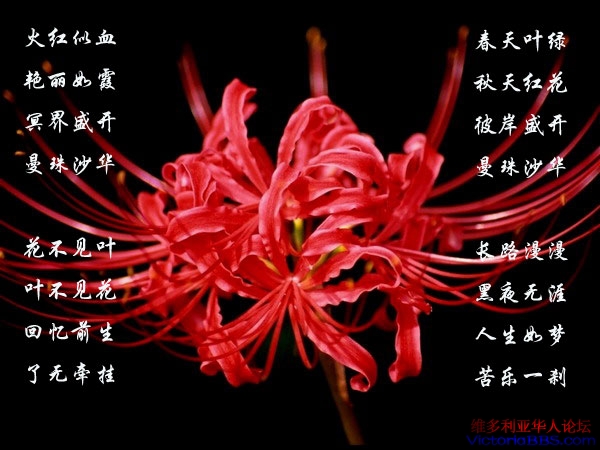 20100406_a3f56ddb878d9675c2c83pjHvu4DD0eU.jpg