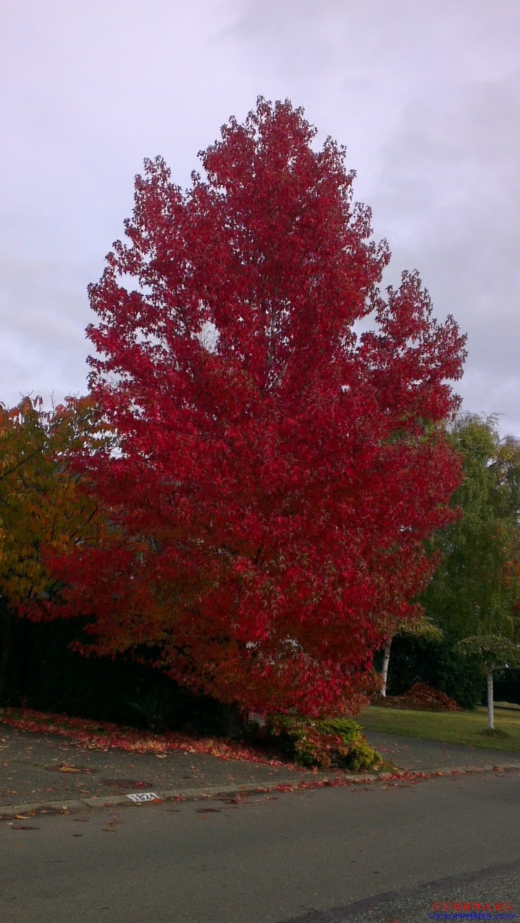 IMAG0767.jpg