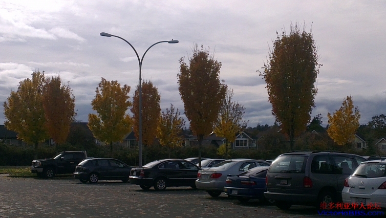 IMAG0777.jpg