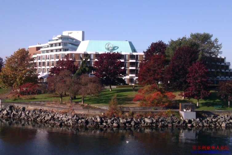 IMAG0782.jpg