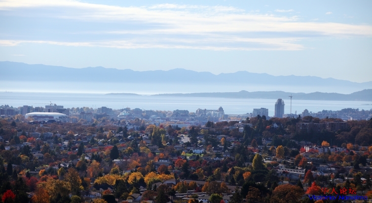 moutain tomie 3.jpg